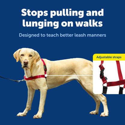 PetSafe Easy Walk Harness, No Pull Dog Harness, Raspberry, Medium/Large