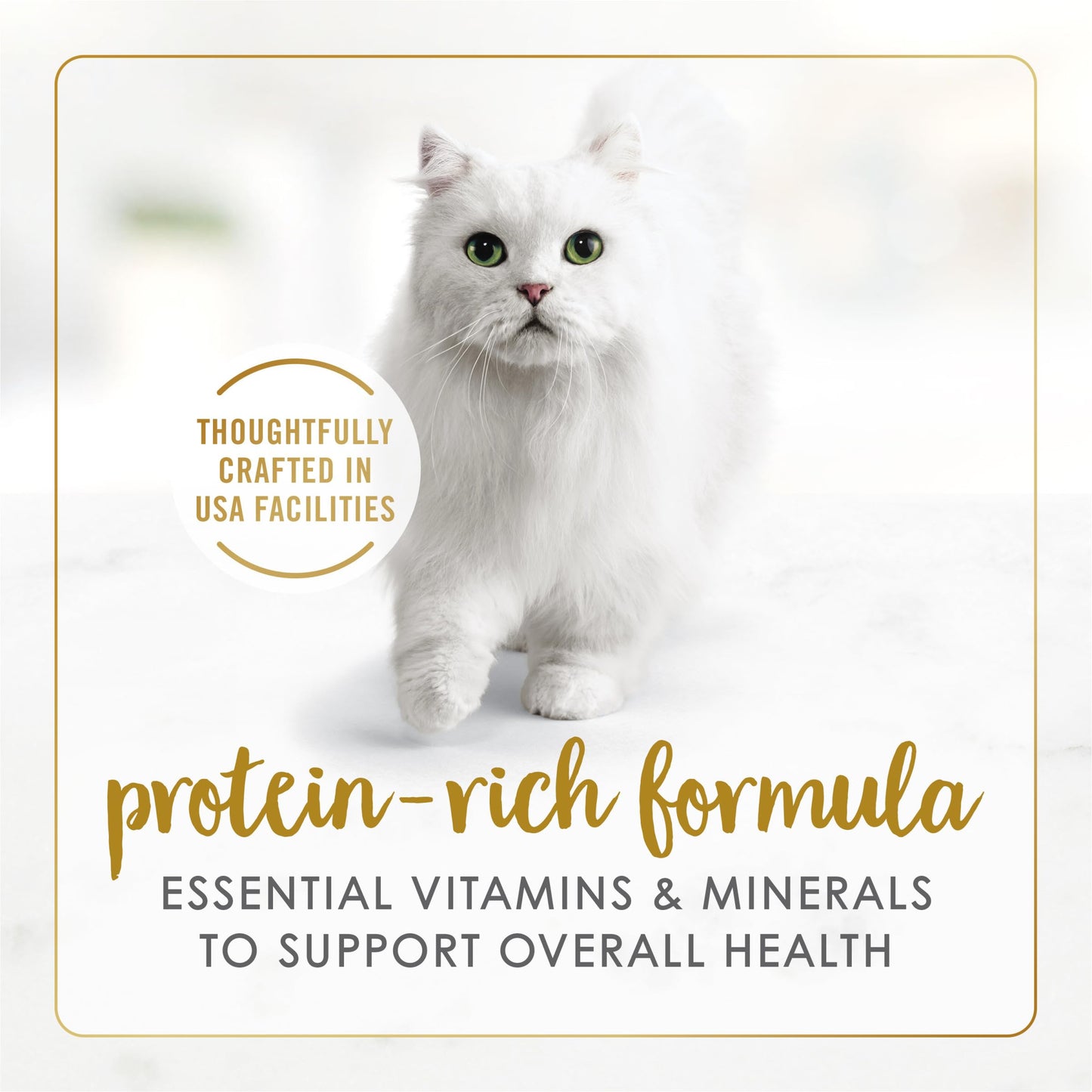 Purina Fancy Feast Appetizers and Broths Variety Pack (2 Pack) 24 Count
