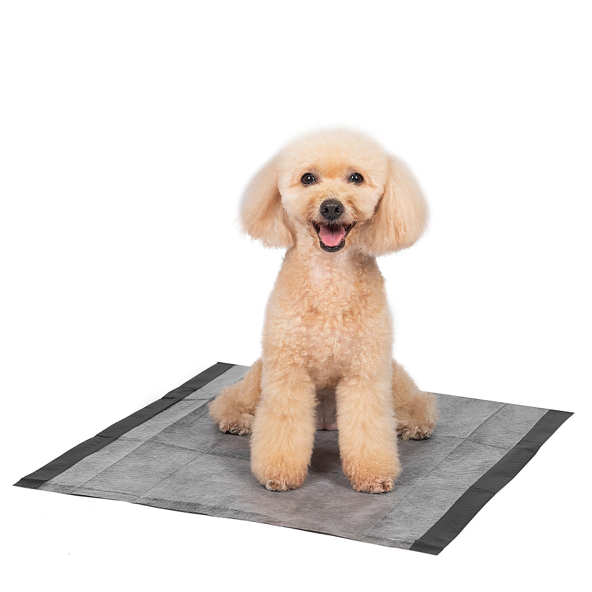 Glad for Pets Activated Carbon Disposable Dog Training Pads, 100 Count