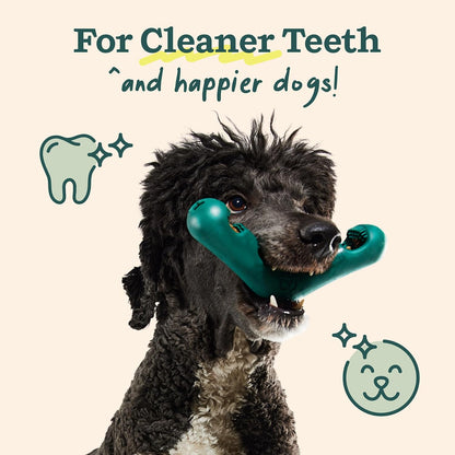 WOOF Bite n' Brush Dog Dental Sticks, Refills for Chew Toy, Chicken, 2 Pack