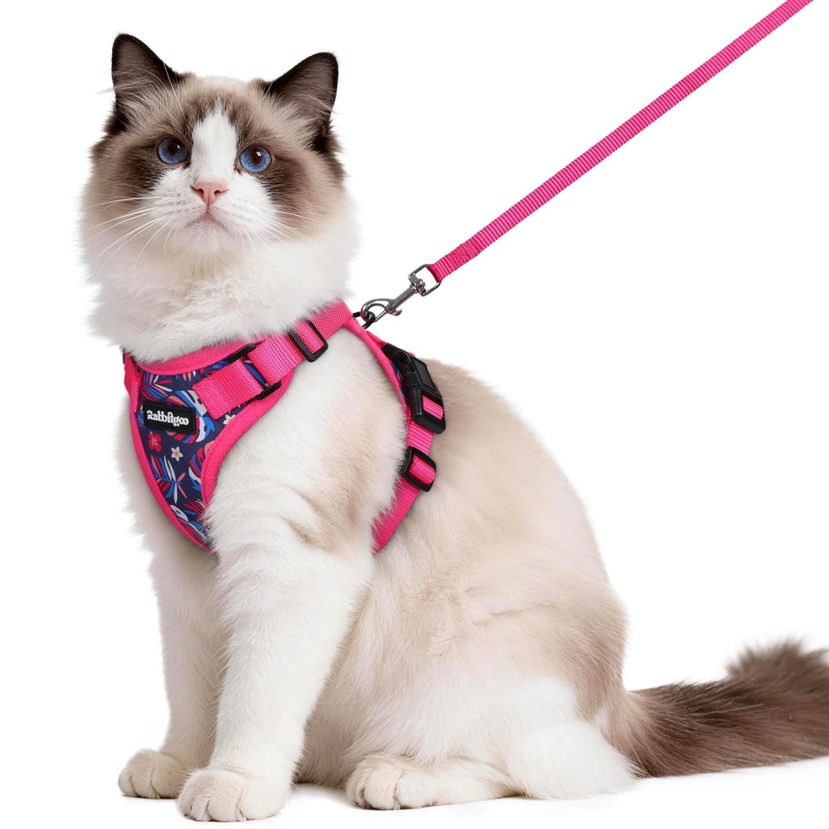 rabbitgoo Cat Harness and Leash Set, Escape Proof Vest, Emerald