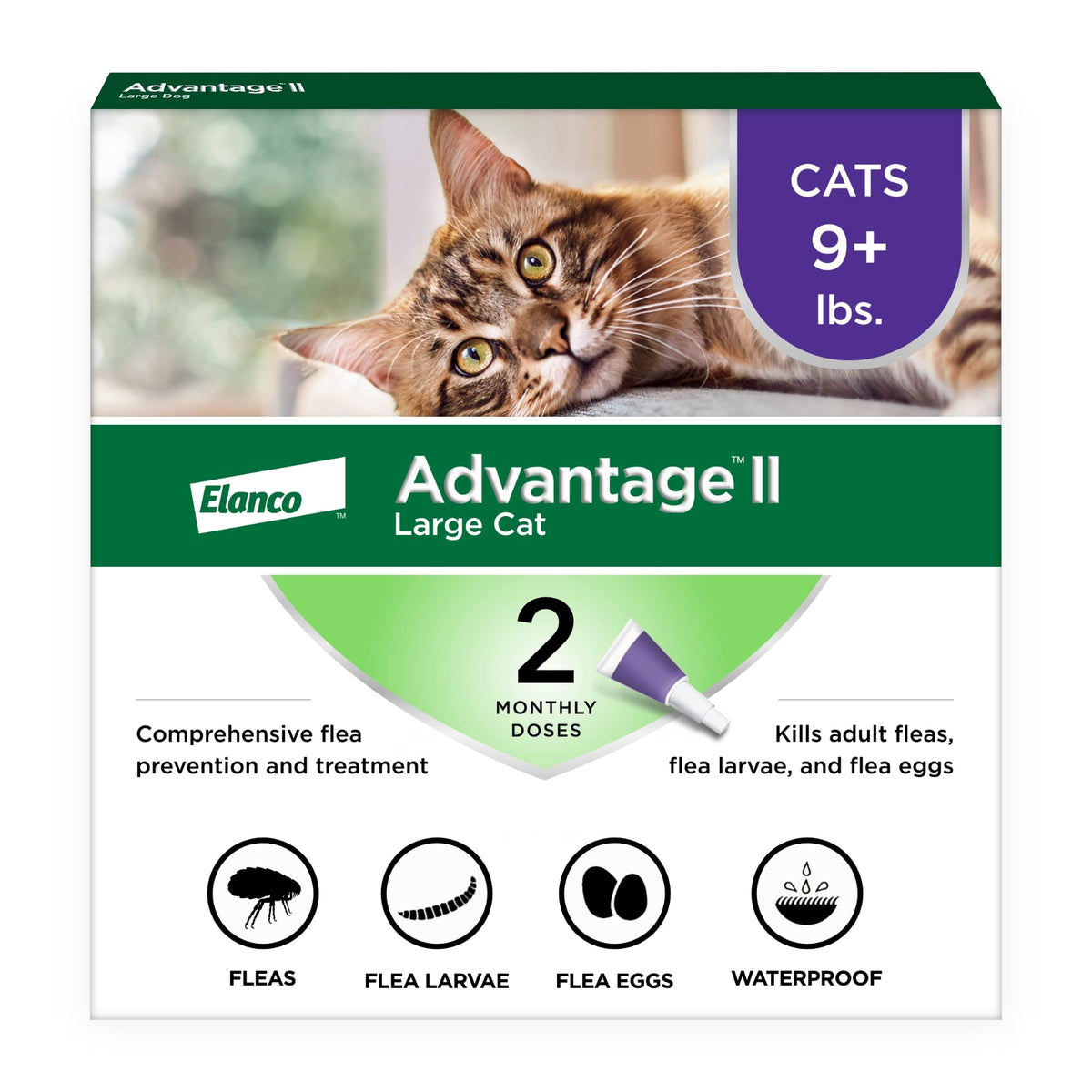 Advantage II Large Cat Topical Flea Treatment & Prevention, 4ct