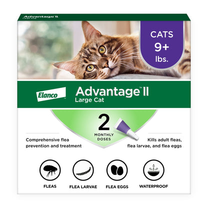 Advantage II Large Cat Topical Flea Treatment & Prevention, 4ct