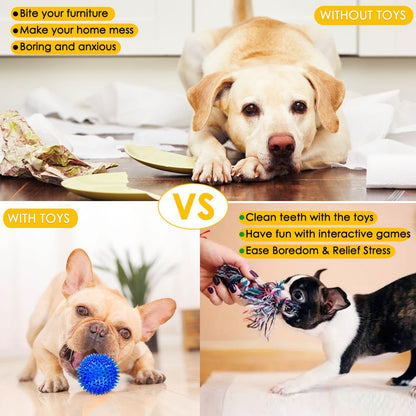 Aipper Dog Toys 25 Pack for Fun and Teeth Cleaning, Puppy Chew Toys Pack with Squeak Plush Toy,Squeaky Toy Balls,Tug of War and Rope Toys for Puppy to Small Dogs