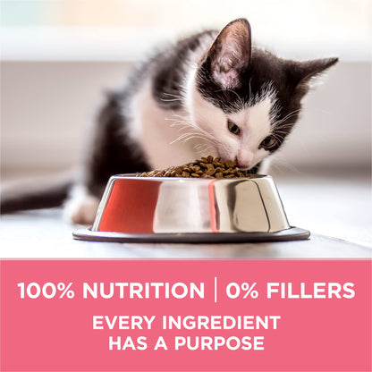 Purina ONE High Protein Natural Kitten Dry Cat Food, 7 lb Bag