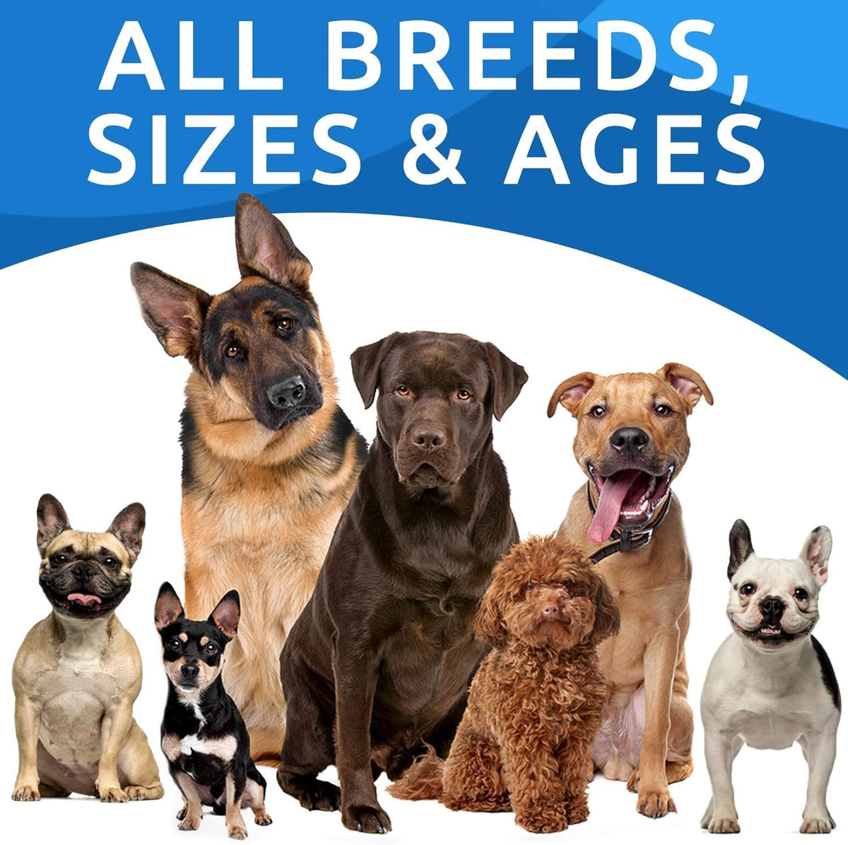 Omega 3 + Fish Oil for Dogs - Skin & Coat Support, Itch & Allergy Relief