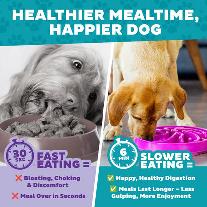 Outward Hound Fun Feeder Slo Bowl Dog Slow Feeder, Wave, Pink, 5.8"