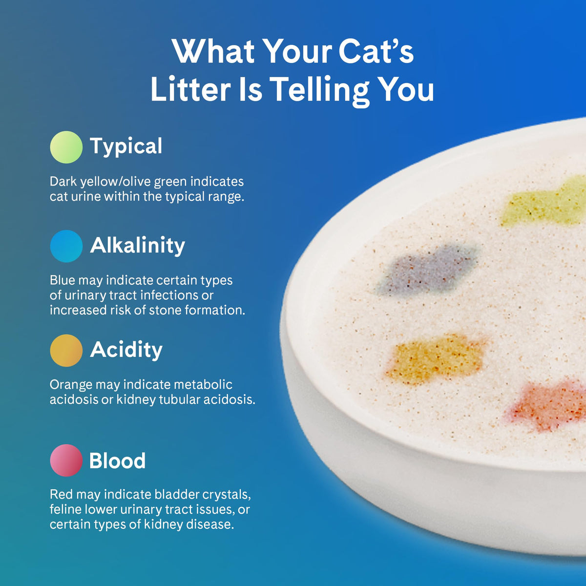 PrettyLitter Health Monitoring Cat Litter, Unscented, 4-Pack, 6 lb. Bags