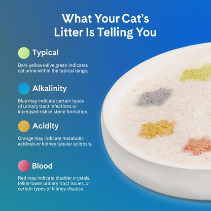 PrettyLitter Health Monitoring Cat Litter, Unscented, 4-Pack, 6 lb. Bags