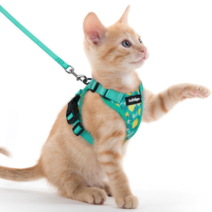 rabbitgoo Cat Harness and Leash Set, Escape Proof Vest, Emerald