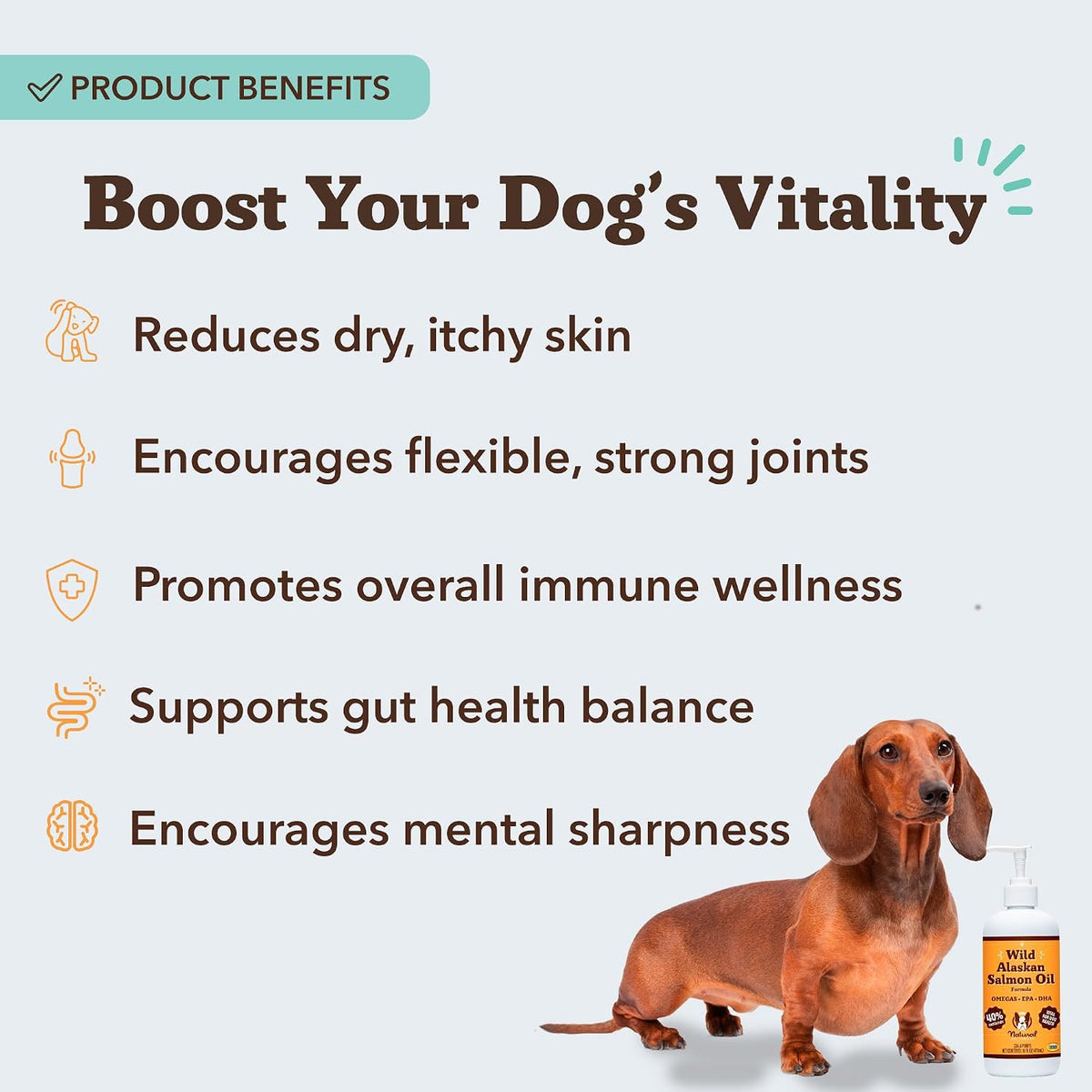 Natural Dog Company Wild Alaskan Salmon Oil for Dogs - 16 oz