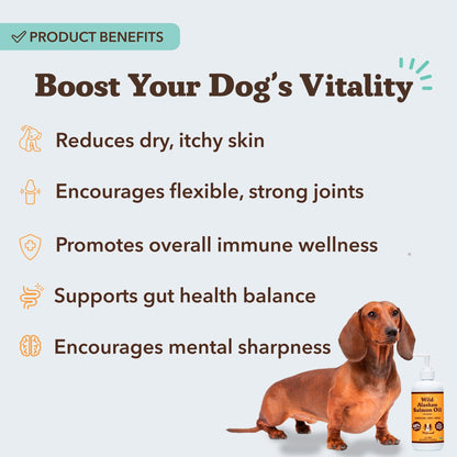 Natural Dog Company Wild Alaskan Salmon Oil for Dogs - 16 oz