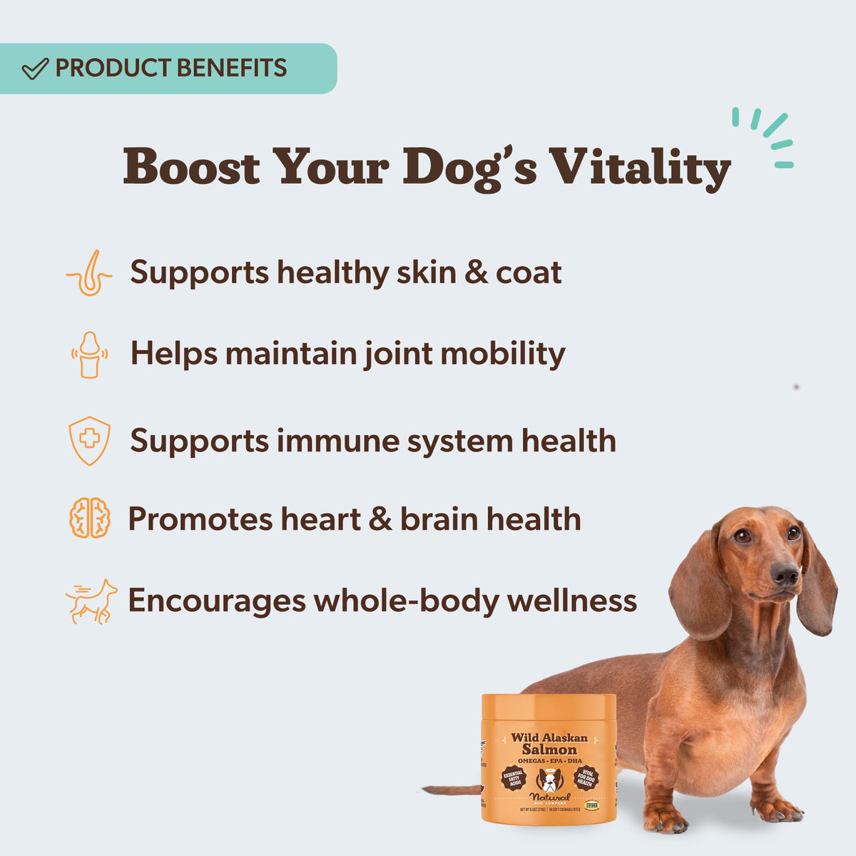 Natural Dog Company Wild Alaskan Salmon Oil for Dogs - 16 oz