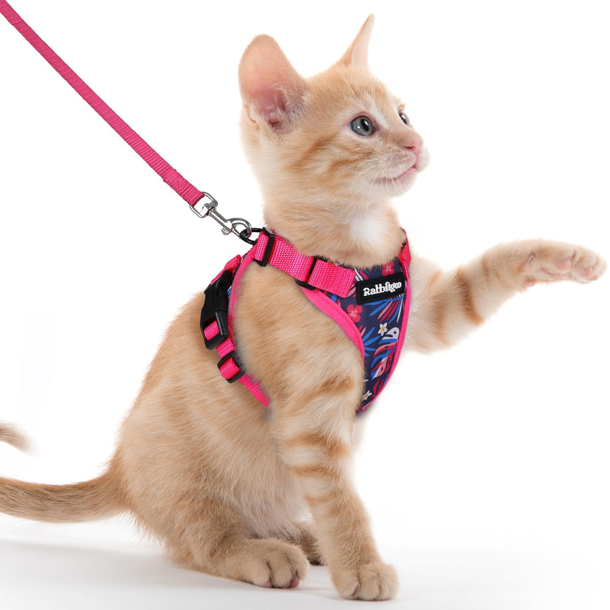 rabbitgoo Cat Harness and Leash Set, Escape Proof Vest, Emerald