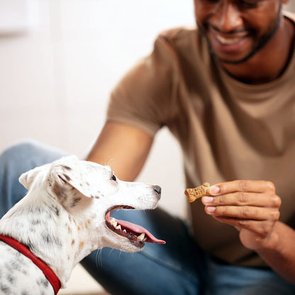 Milk-Bone Flavor Snacks Mini’s Dog Treats, 36 Oz.
