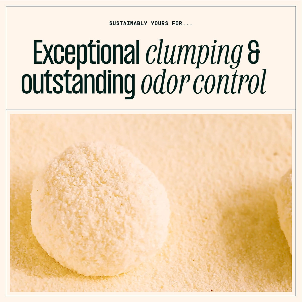 Sustainably Yours Natural Cat Litter, Small-Grain Formula, Exceptional Clumping & Odor Control, Virtually No Dust, Soft on Paws, Corn & Cassava Plant-Based, Unscented, 10 lbs