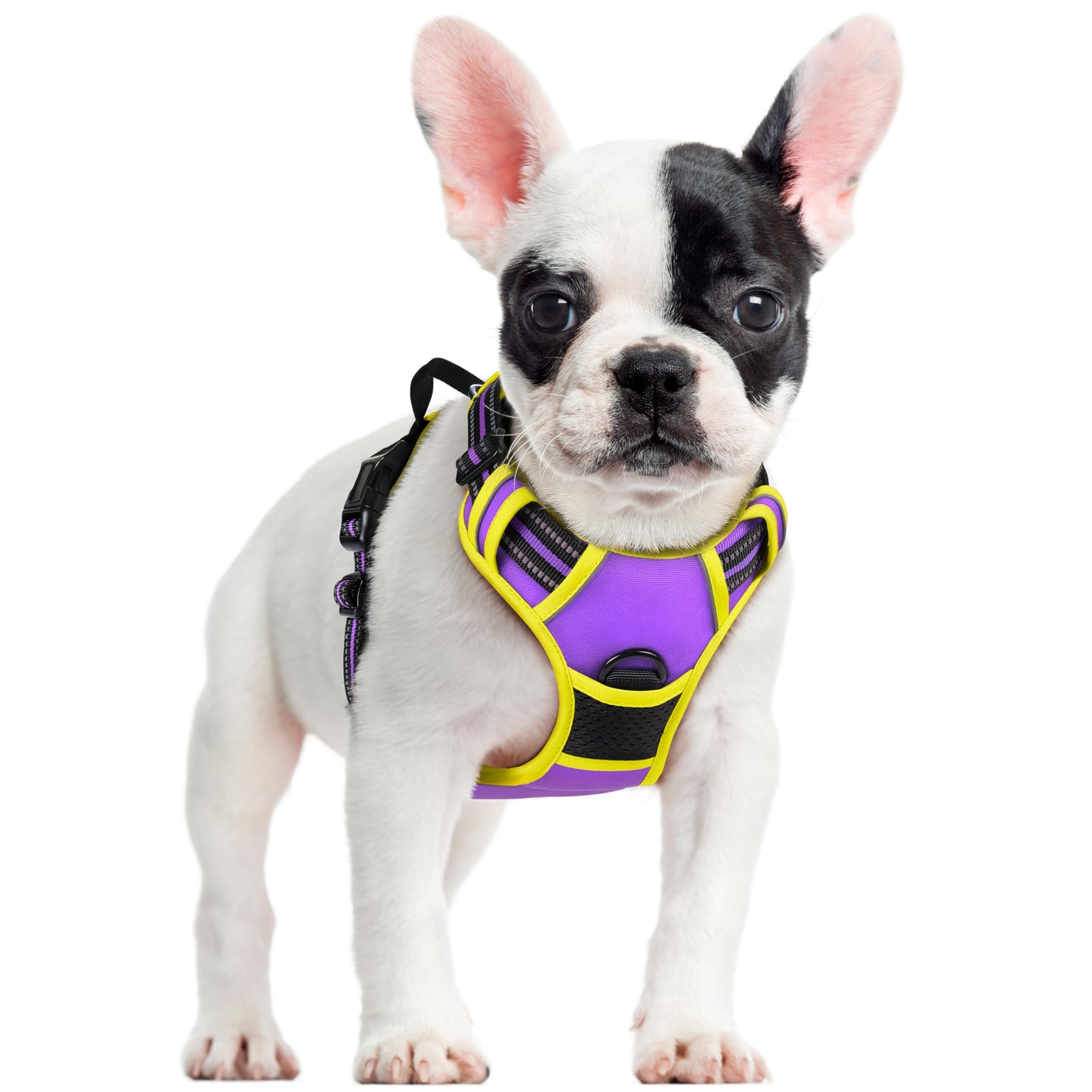 rabbitgoo Dog Harness, No Pull for Large Dogs with 2 Leash Clips, Pet Vest
