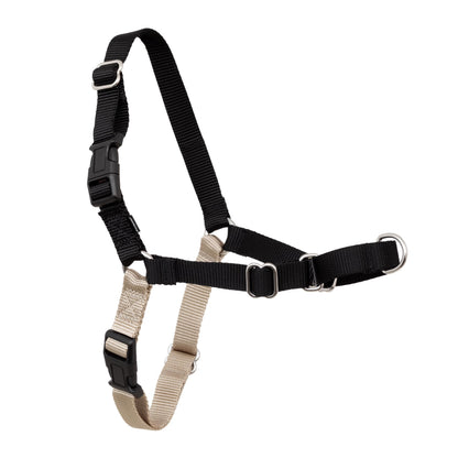 PetSafe Easy Walk Harness, No Pull Dog Harness, Raspberry, Medium/Large