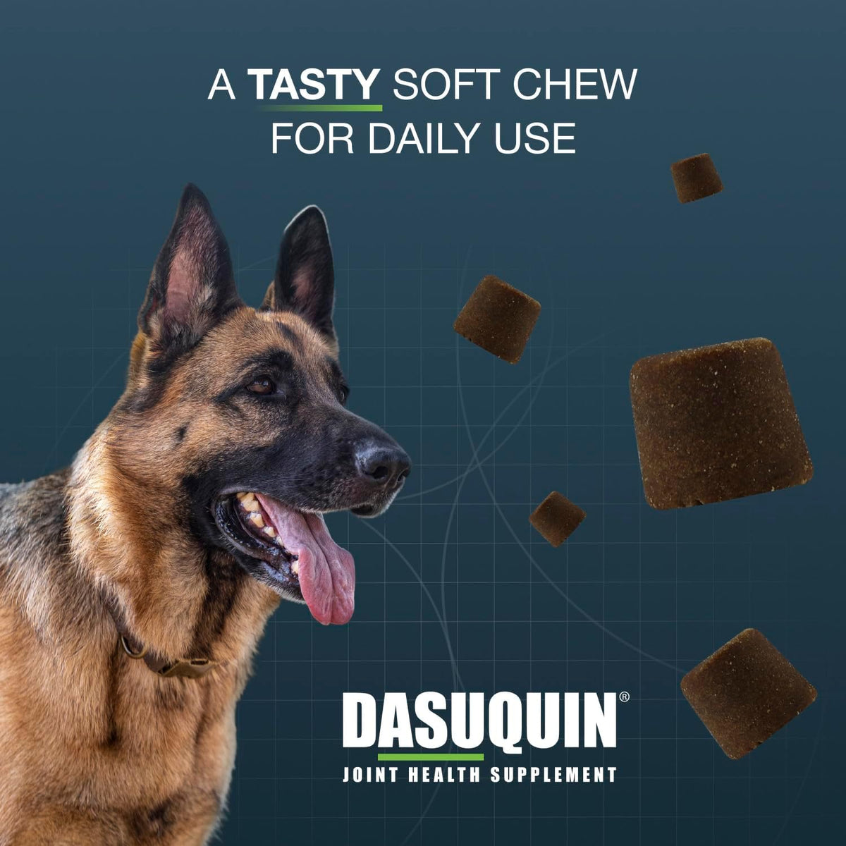 Nutramax Dasuquin MSM Joint Supplement for Large Dogs, Soft Chews, 84ct