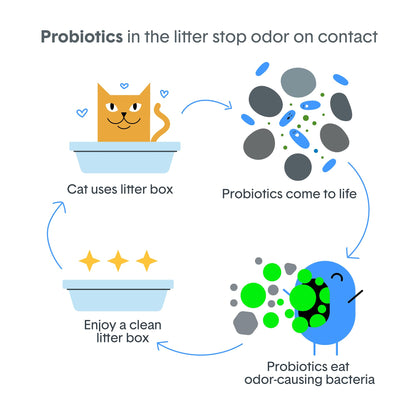 Boxie Probiotic Natural Lightweight Cat Litter 40+ Day Odor Control 11.5 lb