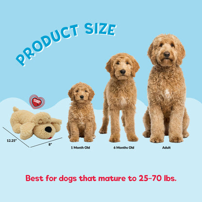 Snuggle Puppy Heartbeat Toy, Calming Comfort, Medium Breeds - Biscuit