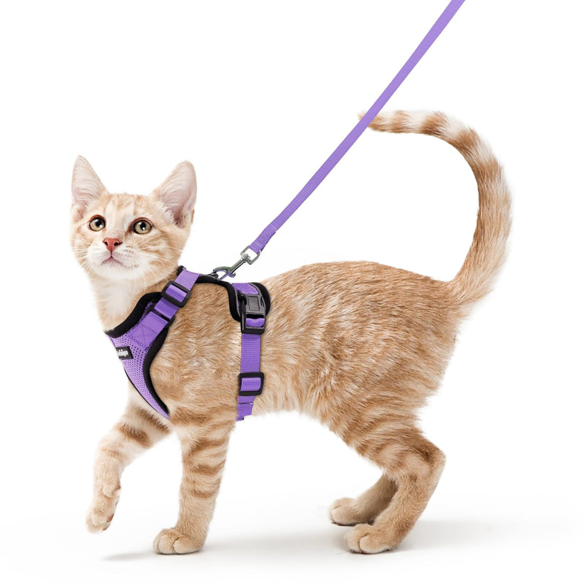 rabbitgoo Cat Harness and Leash Set, Escape Proof Vest, Emerald