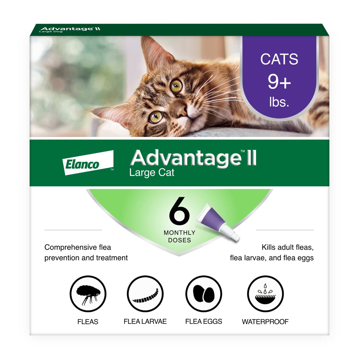 Advantage II Large Cat Vet-Recommended Flea Treatment & Prevention | Cats Over 9 lbs. | 2-Month Supply