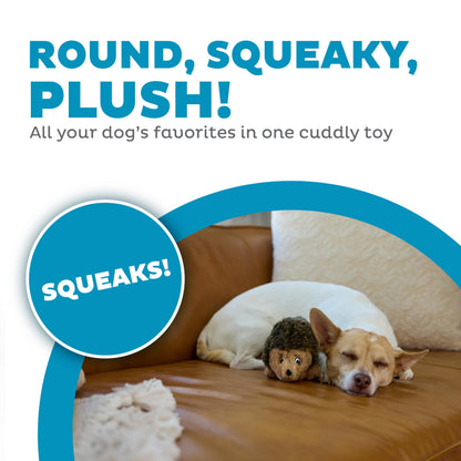 Outward Hound Hedgehogz Plush Dog Toy, Squeaks & Grunts, Medium, 9" x 6.5"
