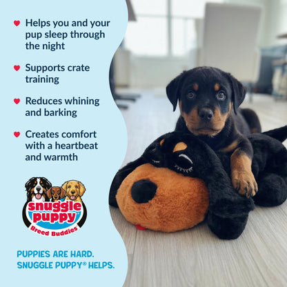 Snuggle Puppy Heartbeat Toy, Calming Comfort, Medium Breeds - Biscuit