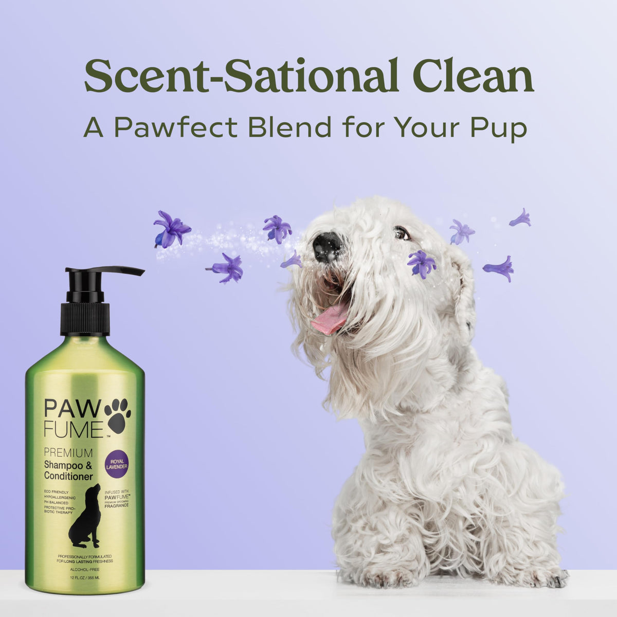 PAWFUME Dog Shampoo and Conditioner, Blue Ribbon, 1-Pack