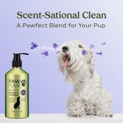 PAWFUME Dog Shampoo and Conditioner, Blue Ribbon, 1-Pack