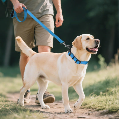 Joytale Reflective Dog Collar, Adjustable Neoprene Padded, Teal M