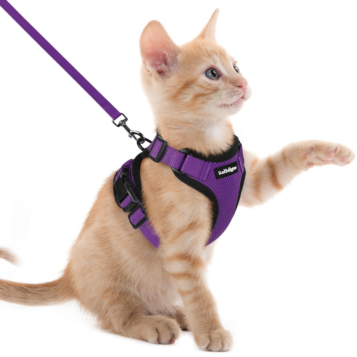 rabbitgoo Cat Harness and Leash Set, Escape Proof Vest, Emerald