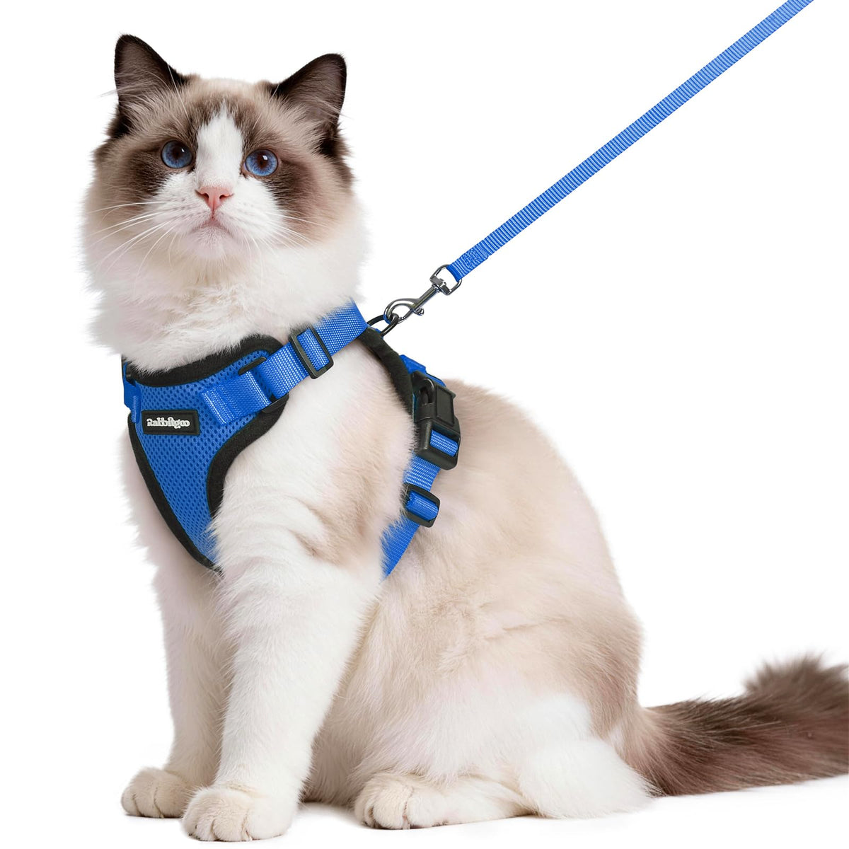rabbitgoo Cat Harness and Leash Set, Escape Proof Vest, Emerald