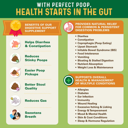 Bernie's Perfect Poop 4-in-1 Digestion Supplement, 2 Flavor Bundle, 12.8 oz