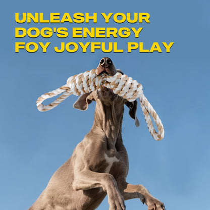 Fida Dog Rope Toys for Aggressive Chewers, Chew Toys for Large Medium Dogs