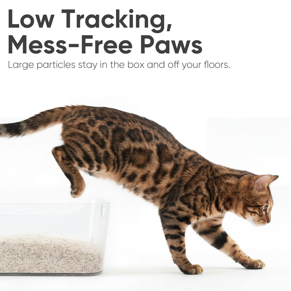 FUKUMARU Tofu Cat Litter, SAP Absorbent, Clumping, Odor Control, 18 lb
