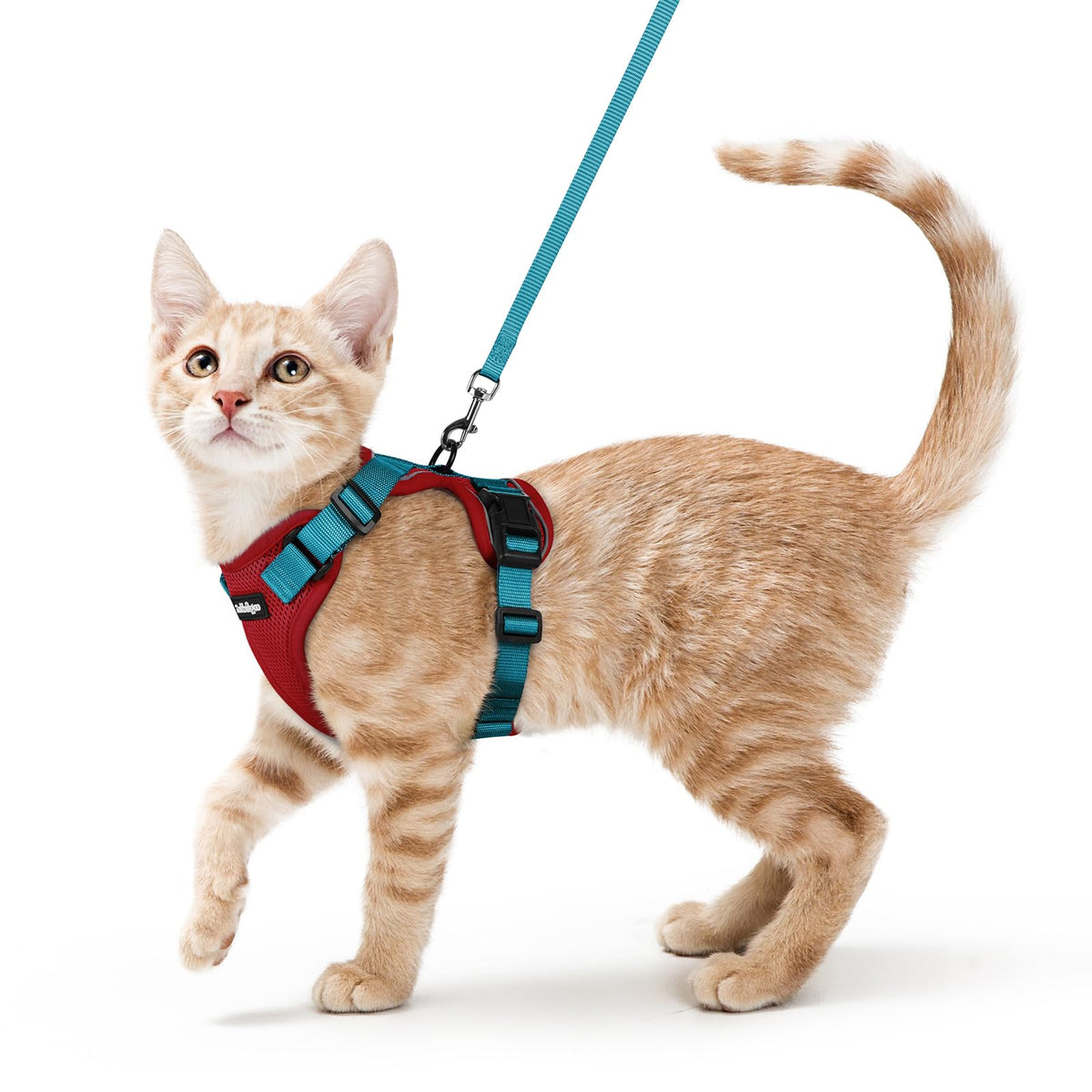 rabbitgoo Cat Harness and Leash Set, Escape Proof Vest, Black
