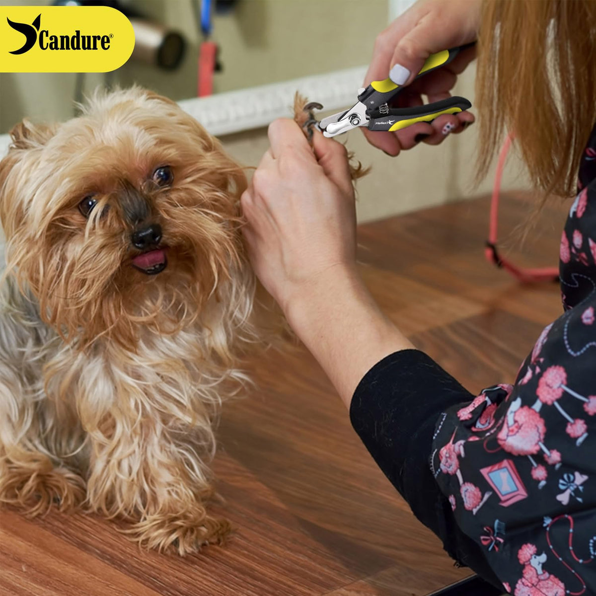 Candure Cat Nail Clippers for Indoor Cats, Rabbits, Hamsters, Birds with Precise Angled Edges to Ensure Easy & Safe Trimming Stainless Steel Cat Nail Trimmer for At-Home Cat Grooming
