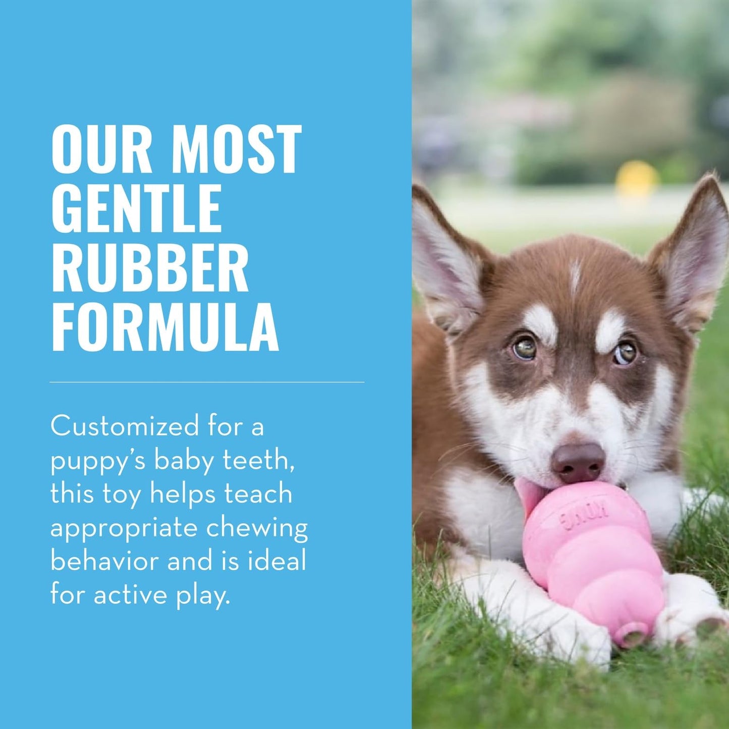 KONG Puppy, Natural Rubber Teething Chew Toy, for Small Puppies, Blue