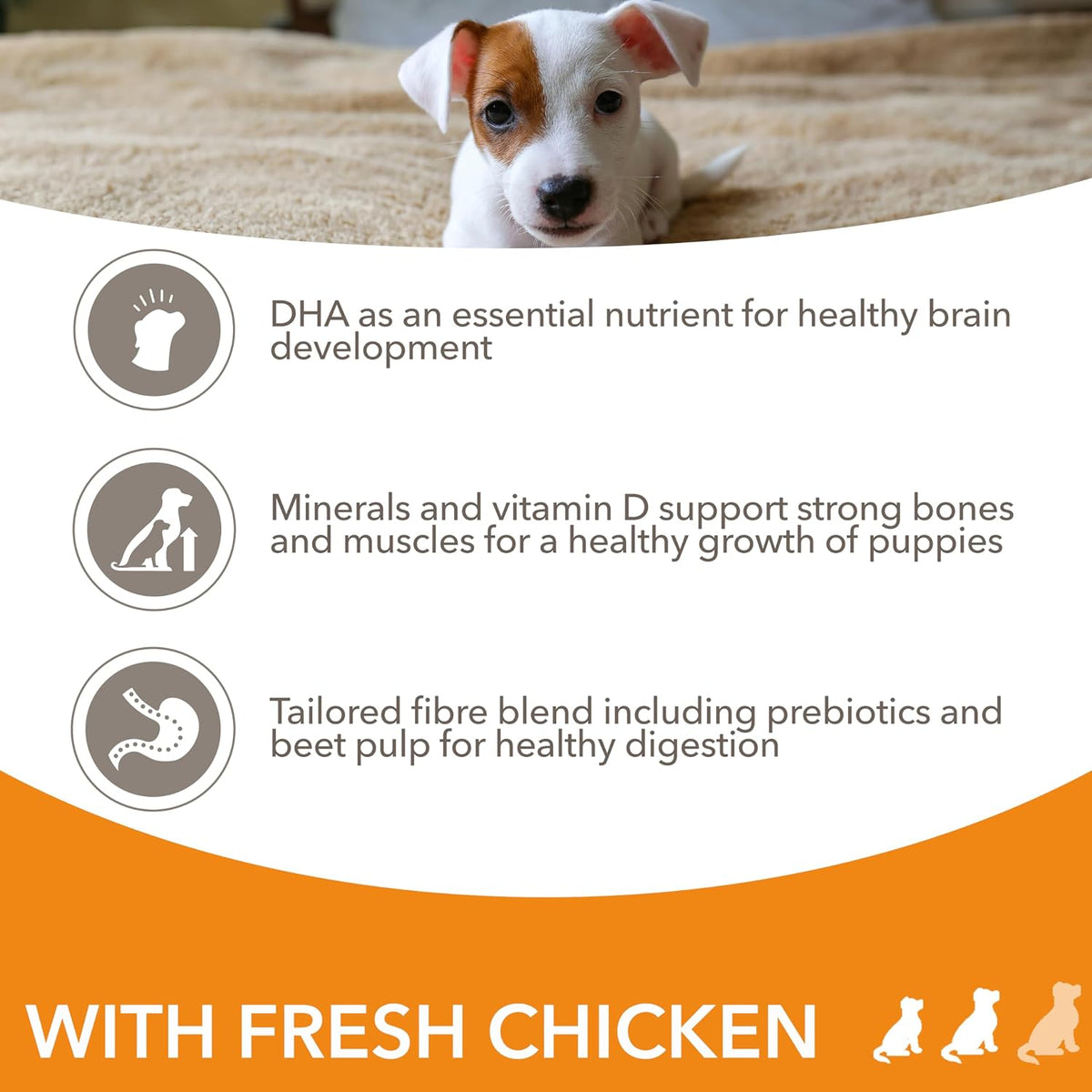 IAMS Puppy Small Medium Complete Dry Dog Food Chicken 3kg - For Healthy Growth