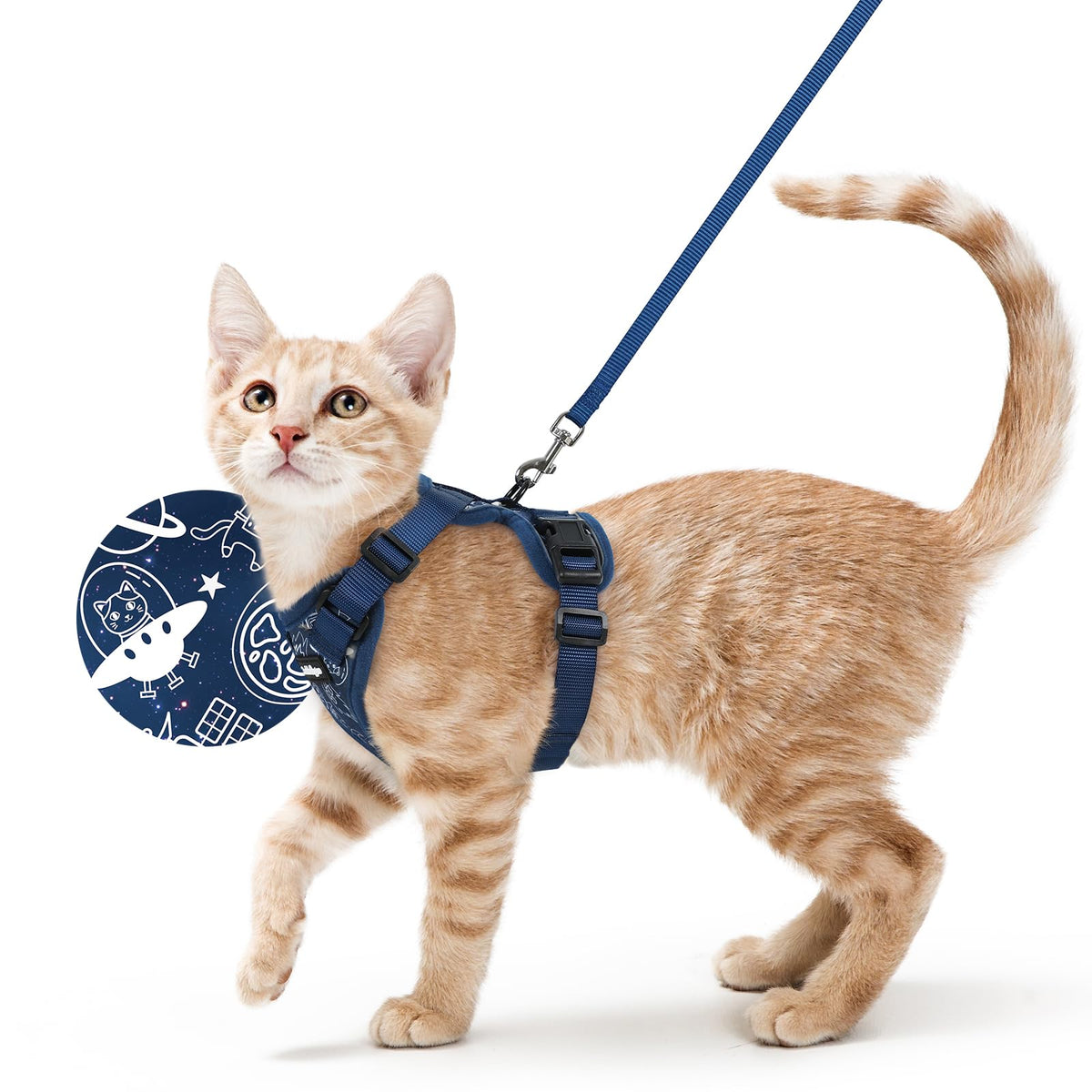 rabbitgoo Cat Harness and Leash Set, Escape Proof Vest, Emerald