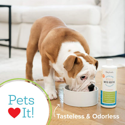 Oxyfresh Premium Pet Dental Care Solution Pet Water Additive – No Brushing