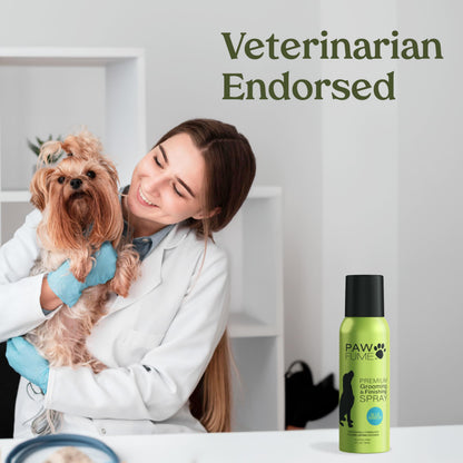 PAWFUME Stain & Pet Urine Odor Eliminator, 1-Pack