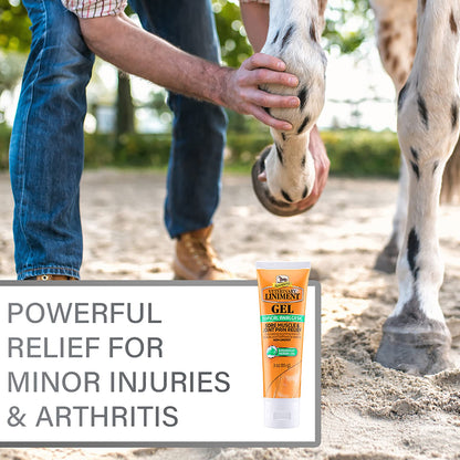 Absorbine Veterinary Liniment Gel, 12 oz Bottle