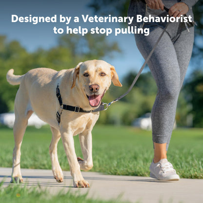 PetSafe Easy Walk Harness, No Pull Dog Harness, Raspberry, Medium/Large