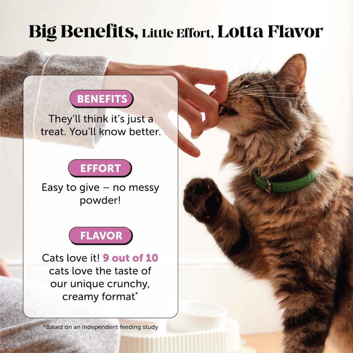 Pet Honesty Vet Backed Cat Multivitamin Lickable Puree, Salmon, 40 Ct
