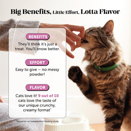 Pet Honesty Vet Backed Cat Multivitamin Lickable Puree, Salmon, 40 Ct