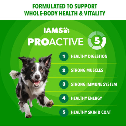 IAMS Proactive Health Adult Minichunks Dry Dog Food, Chicken, 30 lb