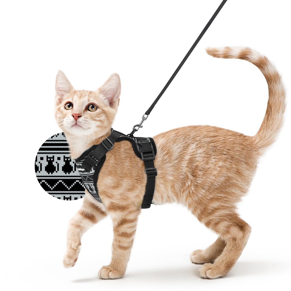 rabbitgoo Cat Harness and Leash Set, Escape Proof Vest, Emerald